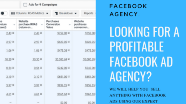 facebook Ad management 2 1