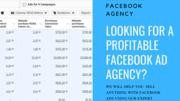 facebook Ad management 2 1