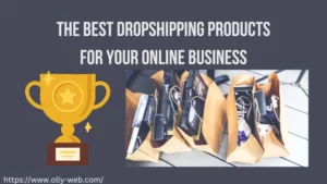 10+ Best Dropshipping Products For Your Online Business