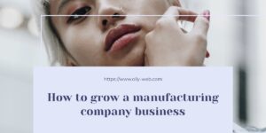 How to grow a manufacturing company business