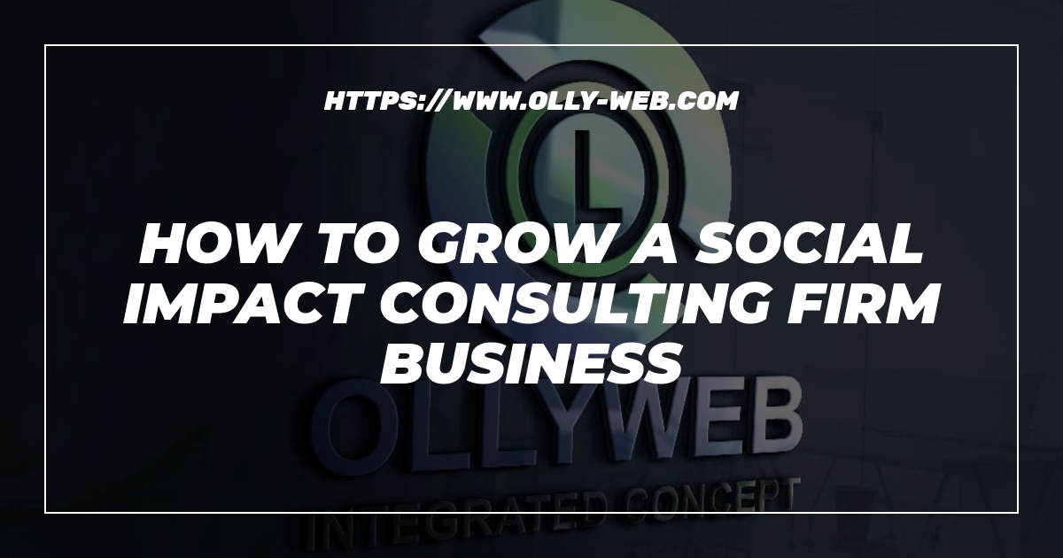 How to grow a social impact consulting firm business