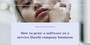 How to grow a software as a service (SaaS) company business