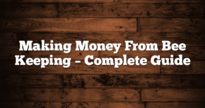 Making Money From Bee Keeping – Complete Guide