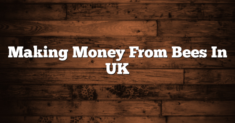Making Money From Bees In UK