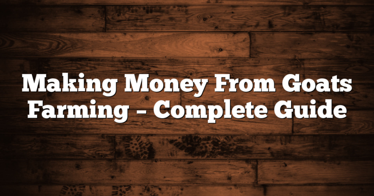 Making Money From Goats Farming – Complete Guide