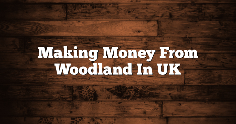 Making Money From Woodland In UK