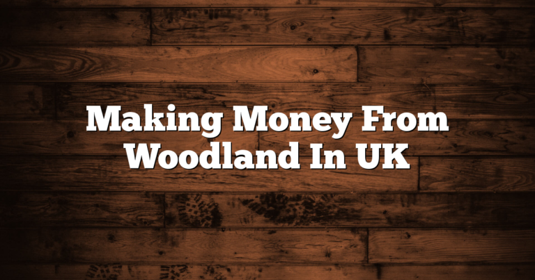 Making Money From Woodland In UK 11 Making Money From Woodland In UK