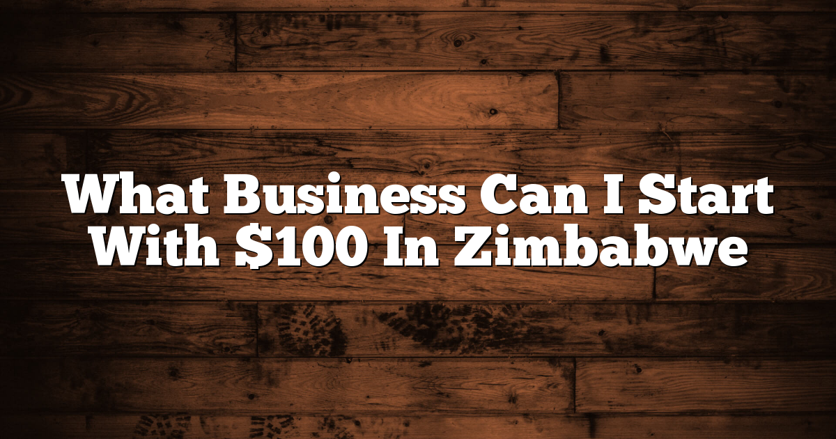 What Business Can I Start With $100 In Zimbabwe
