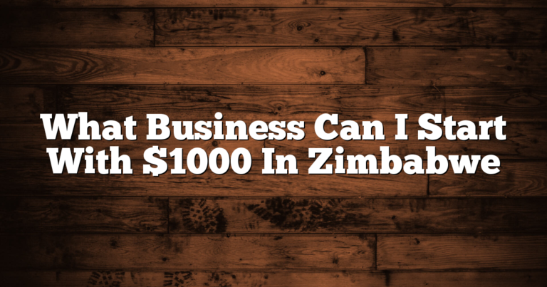 What Business Can I Start With $1000 In Zimbabwe