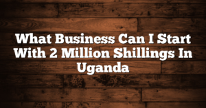 What Business Can I Start With 2 Million Shillings In Uganda