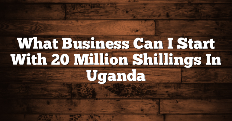What Business Can I Start With 20 Million Shillings In Uganda