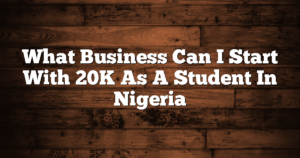 What Business Can I Start With 20K As A Student In Nigeria