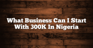What Business Can I Start With 300K In Nigeria