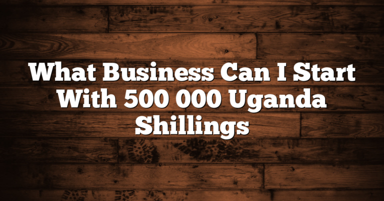 What Business Can I Start With 500 000 Uganda Shillings