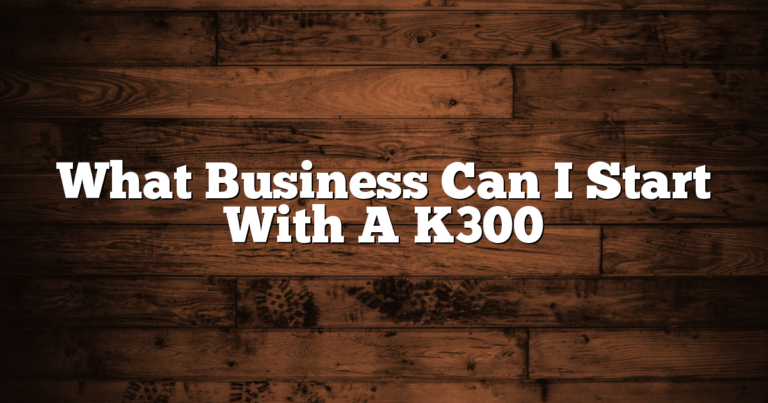 What Business Can I Start With A K300