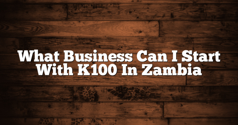 What Business Can I Start With K100 In Zambia
