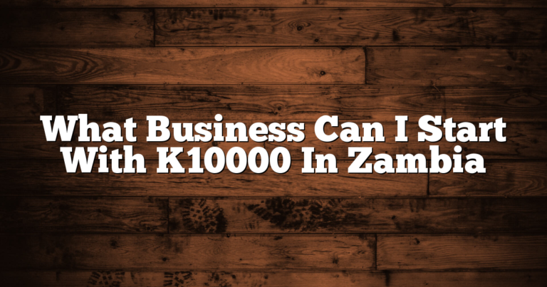 What Business Can I Start With K10000 In Zambia