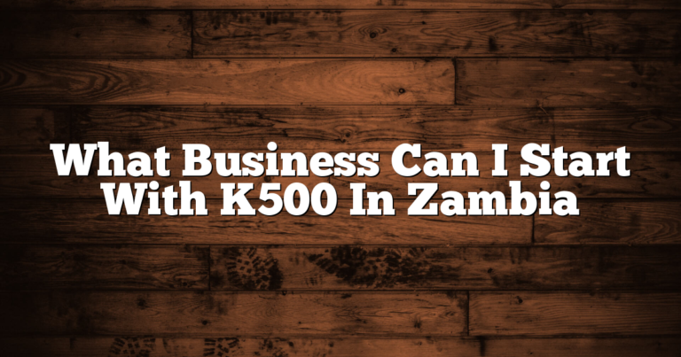 What Business Can I Start With K500 In Zambia