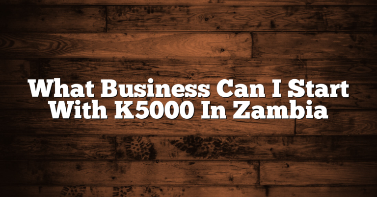What Business Can I Start With K5000 In Zambia