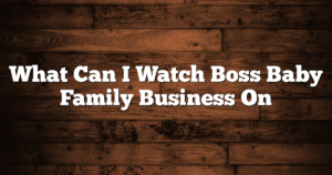 What Can I Watch Boss Baby Family Business On