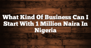 What Kind Of Business Can I Start With 1 Million Naira In Nigeria