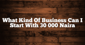 What Kind Of Business Can I Start With 30 000 Naira