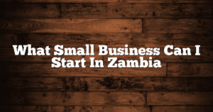 What Small Business Can I Start In Zambia